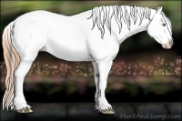 Horse Color:Amber Cream Champagne Splash Tobiano Varnish