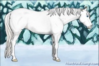 Horse Color:Silver Grullo Splash Tobiano 