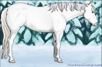 Horse Color:Silver Amber Champagne Ice Dun Splash Tobiano Rabicano 