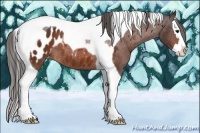 Horse Color:Bay Splash Tobiano Appaloosa Rabicano