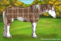 Horse Color:Plaid Chestnut Sabino Splash