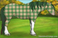 Horse Color:Plaid  Classic Champagne Sabino Tobiano 