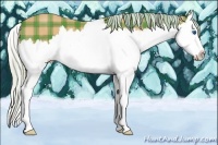Horse Color:Plaid Silver Bay Sabino Splash
