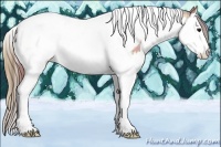 Horse Color:Plaid Bay Sabino Splash Tobiano Appaloosa Rabicano