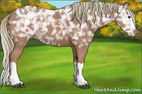 Horse Color:Chestnut Ice Splash 