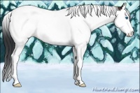 Horse Color:Bay Sabino Splash Tobiano