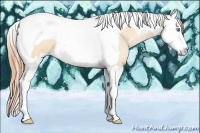 Horse Color:Buckskin Pearl Dun Splash Tobiano