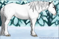 Horse Color:Black Splash Tobiano