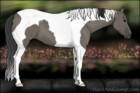 Horse Color:Smoky Grullo Tobiano