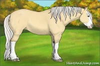 Horse Color:Silver Buckskin Dun Splash
