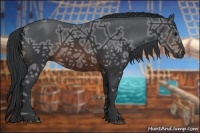 Horse Color:Brown Ice Rabicano