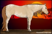 Horse Color:Red Dun Ice 