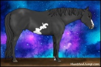 Horse Color:Black Frame 