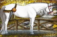 Horse Color:Liver Chestnut Appaloosa