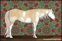 Horse Color:Red Dun Sabino Splash