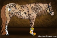 Horse Color:Gold Champagne