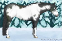 Horse Color:Black Frame 