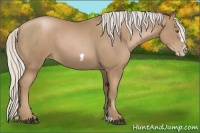 Horse Color:Silver Black Pearl Frame