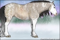 Horse Color:Brown Ice Dun Sabino Splash