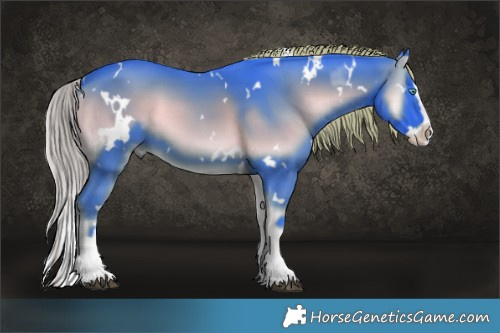 Horse Color:Watercolor White Spotted Liver Red Onyx Splash 