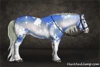 Horse Color:Watercolor White Spotted Liver Red Onyx Splash 