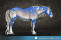 Horse Color:Watercolor White Spotted Liver Red Onyx Splash