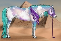 Horse Color:Watercolor White Spotted Brown Onyx 