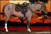 Horse Color:Bay Roan 