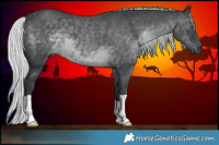 Horse Color:Silver Black Chinchilla  Brindle