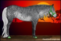 Horse Color:Silver Black Chinchilla  Brindle