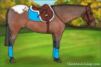 Horse Color:Brown Appaloosa