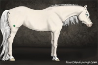 Horse Color:Silver Perlino 