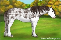 Horse Color:Liver Chestnut Ice Splash 