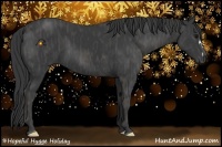 Horse Color:Black  Brindle