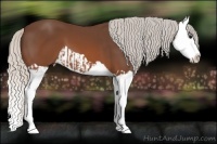 Horse Color:Silver Brown Splash and Silver Brown Splash