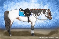 Horse Color:Brown Appaloosa 