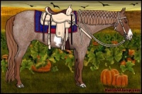 Horse Color:Red Roan Frame 