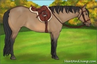 Horse Color:Bay Roan Dun