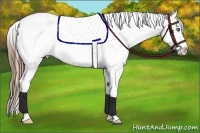 Horse Color:Red Dun Roan Splash Varnish 