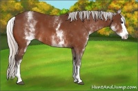 Horse Color:White Spotted Silver Bay Splash 