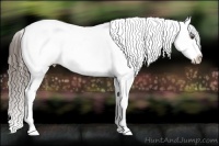 Horse Color:Liver Chestnut Snowflake Varnish  and Liver Chestnut Snowflake Varnish 