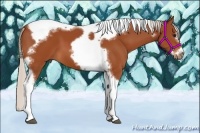Horse Color:Silver Bay Splash Tobiano Frame