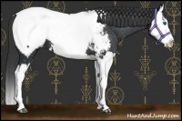 Horse Color:Black Splash Snowcap 