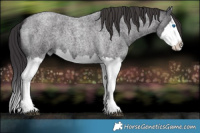 Horse Color:White Spotted Smoky Blue Roan Splash
