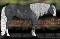 Horse Color:Silver Black Chinchilla Splash