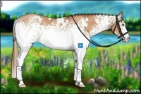 Horse Color:White Spotted Bay Pearl 