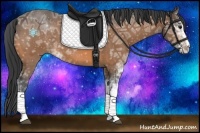 Horse Color:Buckskin Ice Sabino 