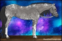 Horse Color:Black Ice Tobiano 