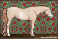 Horse Color:Buckskin Pearl Sabino 