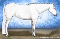 Horse Color:Gray Chestnut 